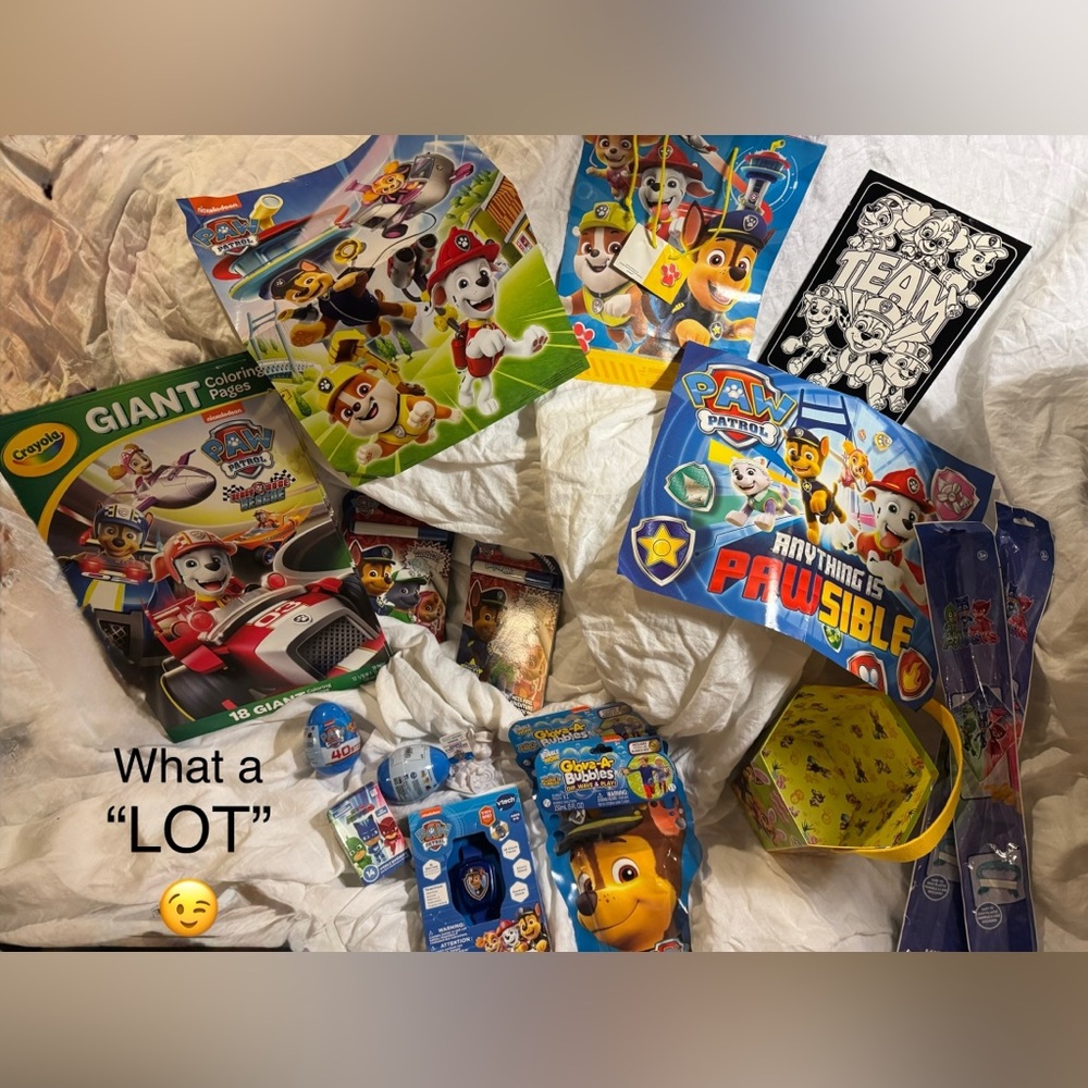 Paw Patrol Kids Activity Set